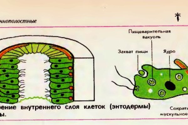 Где найти ссылку кракен