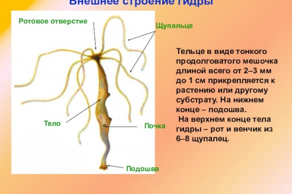 Кракен даркнет ссылка зеркало